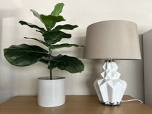 Load image into Gallery viewer, 1118 - Plant 30€ and Lamp 35€ (63cm and 48cm high)
