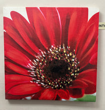 Cargar imagen en el visor de la galería, 1140 - Paintings (each: 60cm x 60cm)
