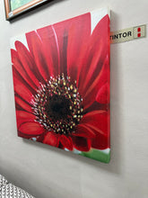 Cargar imagen en el visor de la galería, 1140 - Paintings (each: 60cm x 60cm)
